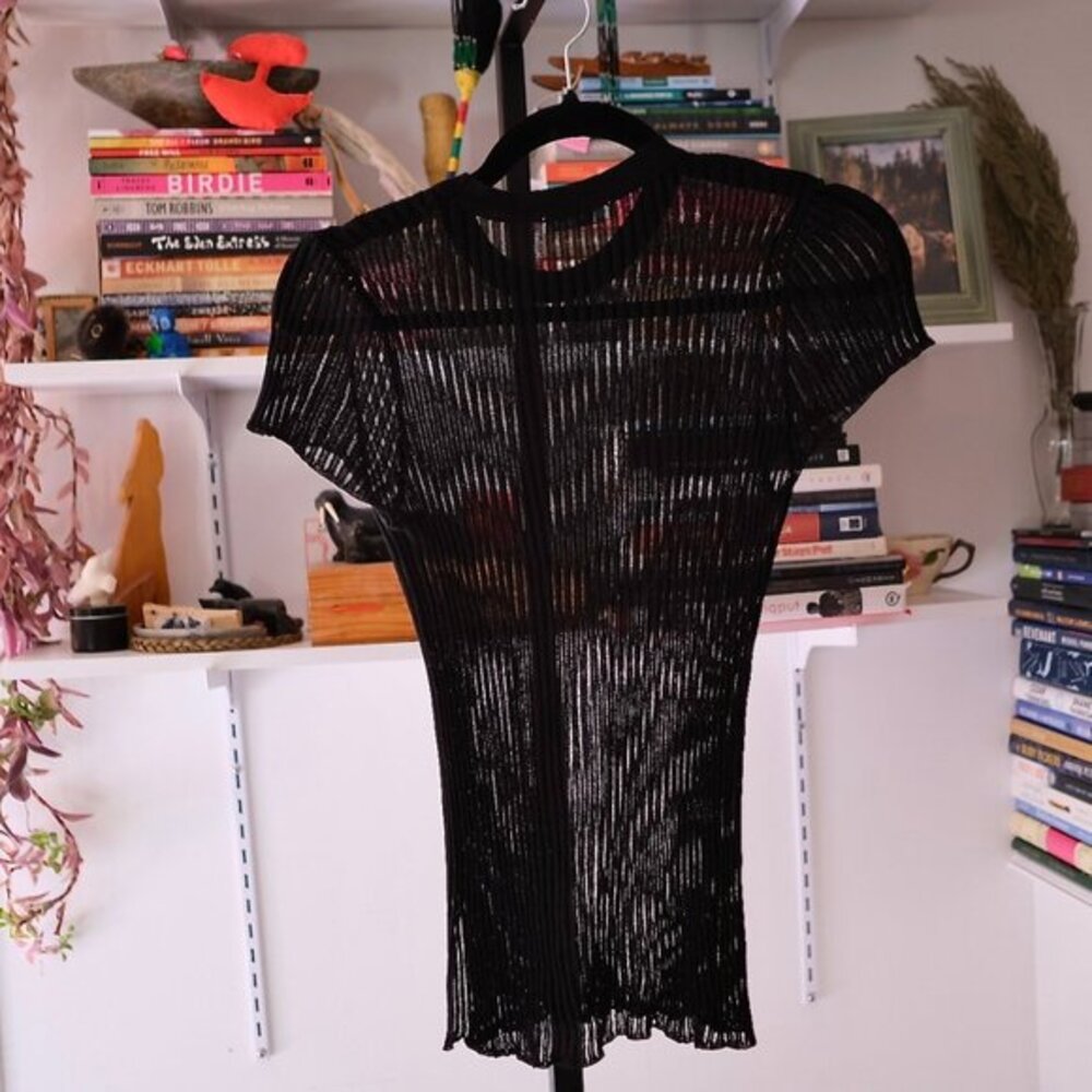 ZARA | sheer fine knit top